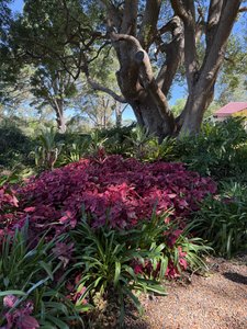 photo by Tracy Tetznet