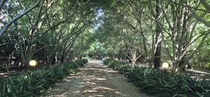 photo by Christine Davis